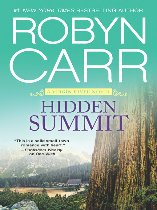 Cover image for Hidden Summit